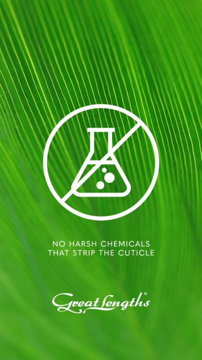 never chemically treated hair